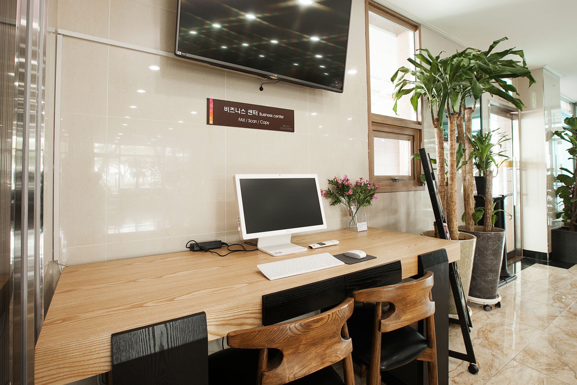 Hotel California Seogwipo Ngoại thất bức ảnh